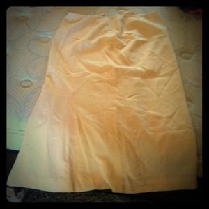 Long pencil skirt NWOT