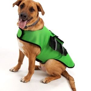 Large Dog Sports Vest
