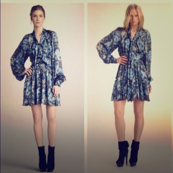 HOST PICK!!! Rachel Zoe oil paint dress