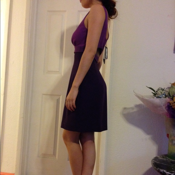 A/X Dress Dark Plum - Picture 2 of 3