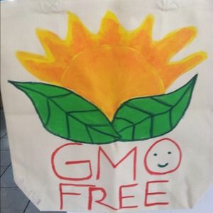 Small grocery canvas bag