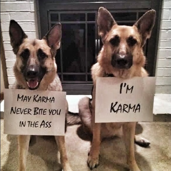 Honest humor
