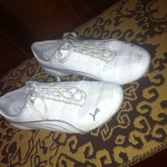 White pumas