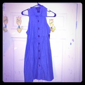 ALYN PAIGE NEW YORK.