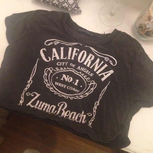 Brandy Melville Zuma Beach crop top