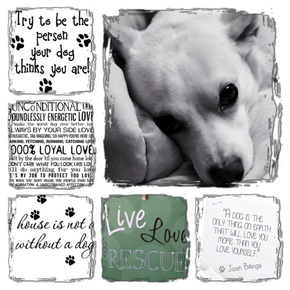 My little boy...CHOOPY!..and my kitty WAFFLE!