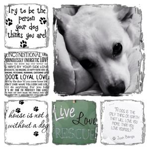 My little boy...CHOOPY!..and my kitty WAFFLE!