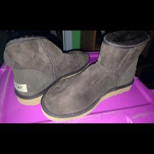 Women's classic mini ugg in chocolate