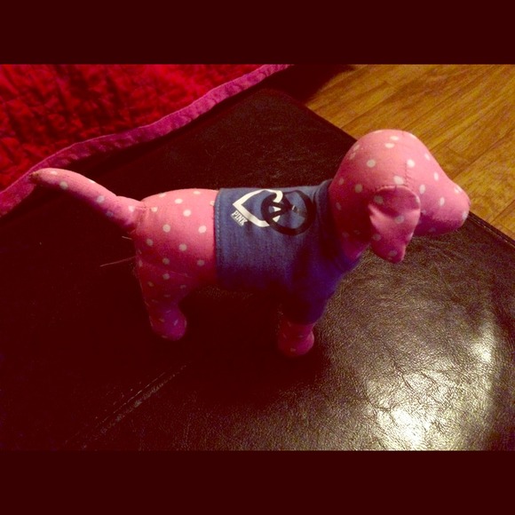 Victorias Secret Puppy
