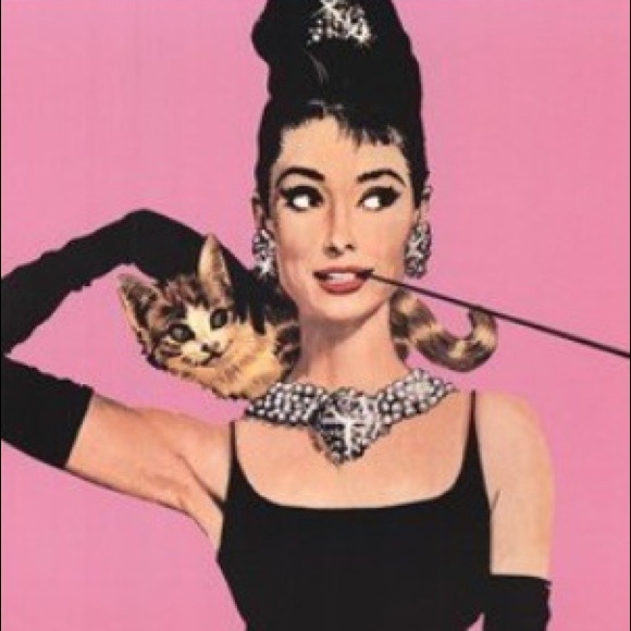 Audrey Hepburn 16x20 canvas