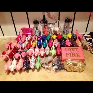 READ BIO Victoria's Secret pink mini dog rare!!