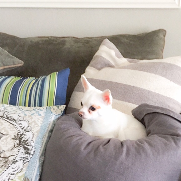 ABOUT ME: 🐶💜 - Picture 9 of 9