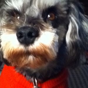 My Lucky baby