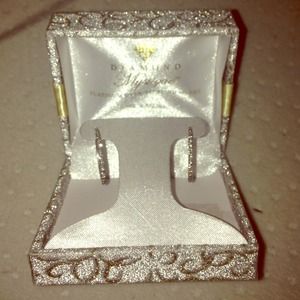 🚫TRADED🚫Platinum over sterling oval earrings