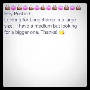 Looking for a Longchamp
