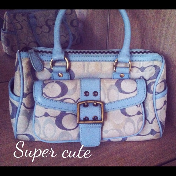 Beautiful Coach Inspired Handbag