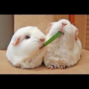 SHARING IS CARING!! Thanks for the posh support!💗