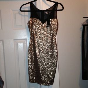 🎉‼️H/P 10/10/14‼️🎉 Buffalo  gold sequin dress