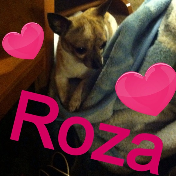 Happy Halloween from Roza - Picture 1 of 4