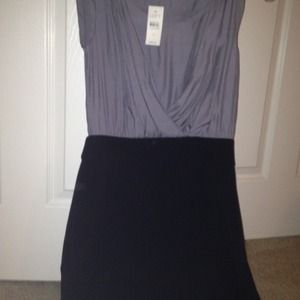 Ann Taylor Loft Dress