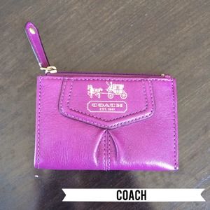 Coach Mini Skinny