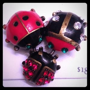 Lady Bug brooch SUPER CUTE!!🐞