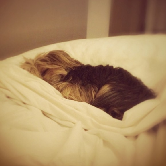 I'm Your Seller & Buyer! - Picture 3 of 4