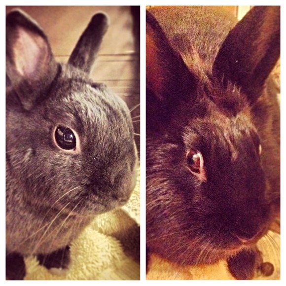 I'm Your Seller & Buyer! - Picture 4 of 4