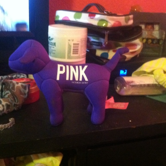 VS dog!