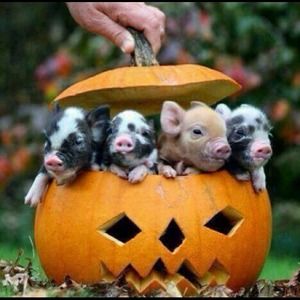 Winter clothes needed!