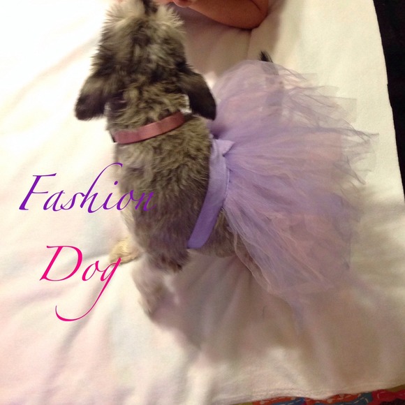 🐶DOGGY TUTU🐶 💥SUPER CUTE💥