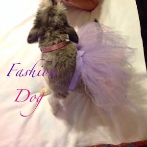 🐶DOGGY TUTU🐶 💥SUPER CUTE💥