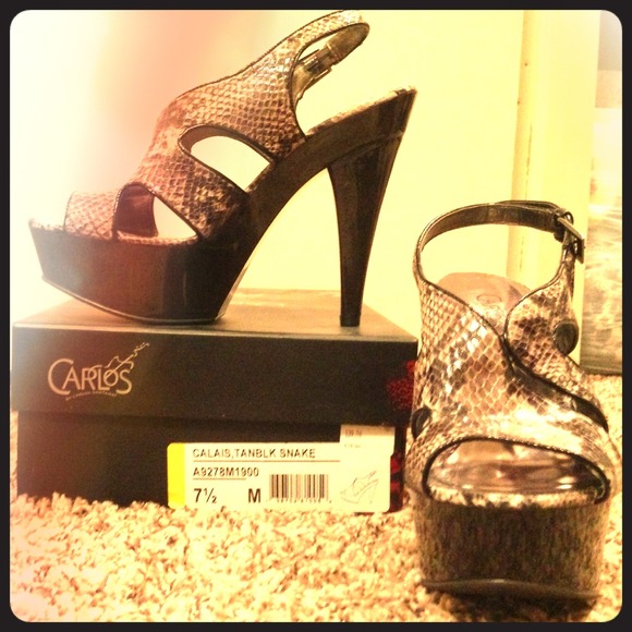 Snake Skin Heals By Carlos Santana