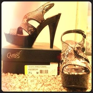 Snake Skin Heals By Carlos Santana