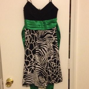 Black and Green Zebra Dress