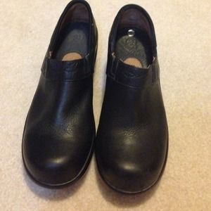 Ariat Santa Cruz clogs