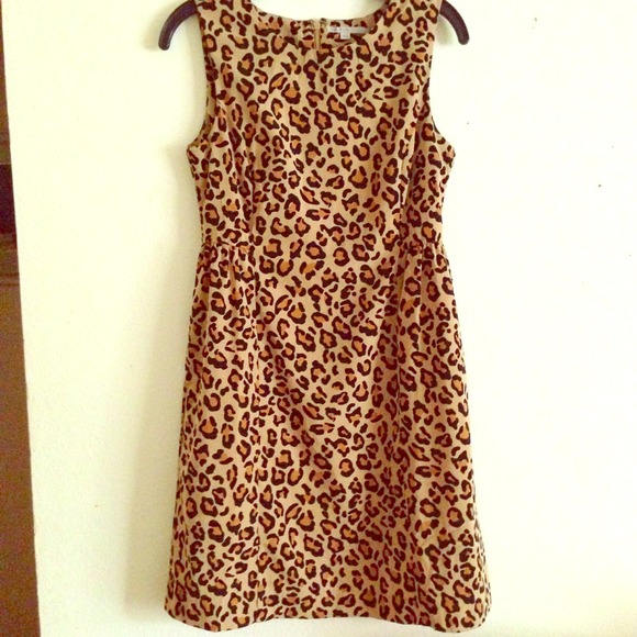 Animal print dress