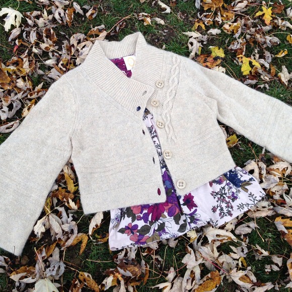 SOLD in bundle Anthropologie Cropped Sweater