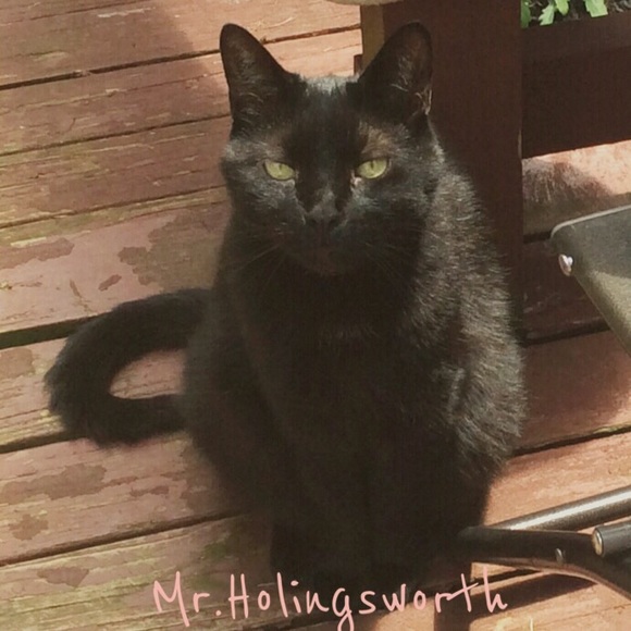 Respect posh policies please😄💖 - Picture 4 of 4