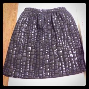 Black Shiny Skirt