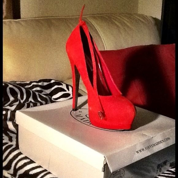 Steve  Maddeb  Obsessed