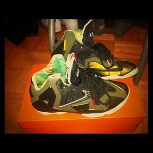 "King's Pride" Lebron 11s