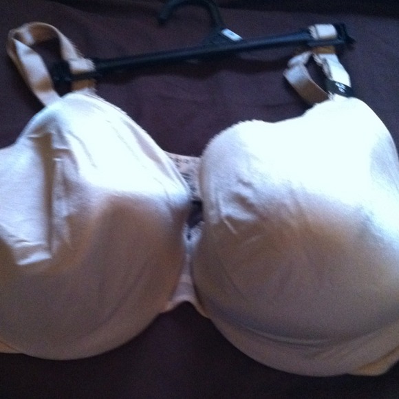 Torrid 42D
