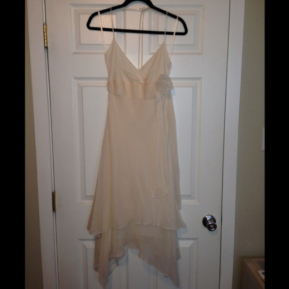 BCBG Max Azria Silk Chiffon Dress
