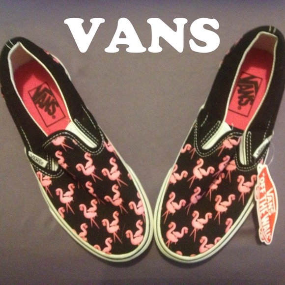 💗 Flamingo VANS
