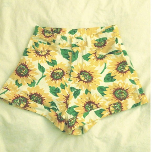 American Apparel insp. Sunflower Shorts