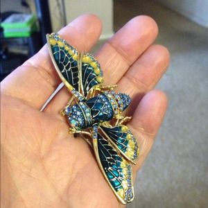 Swarovski crystal bug brooch!