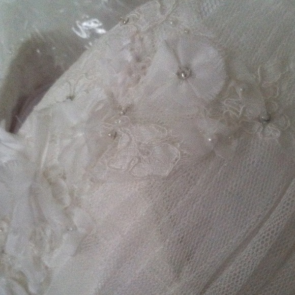 Stunning Wedding dress by Waters - Picture 2 of 4