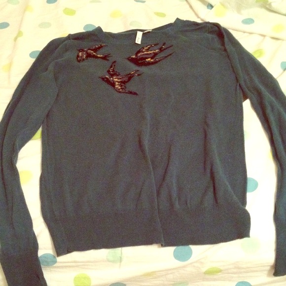 Teal sweater with birds