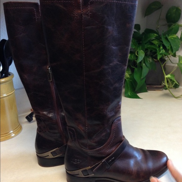 Tall equestrian ugg riding boots